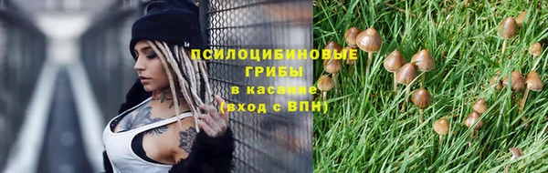 альфа пвп Баксан