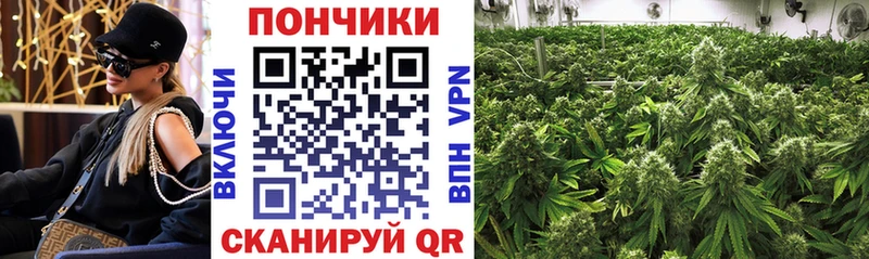 MEGA как войти где купить наркотик Ярцево Каннабис тримм